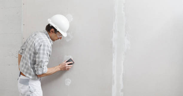Best Basement Mold Removal  in Burnt Mills, MD