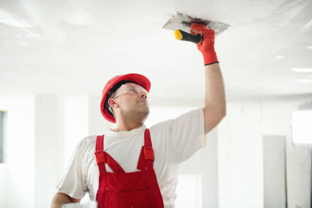 Best Air Quality Testing for Mold Spores  in Burnt Mills, MD