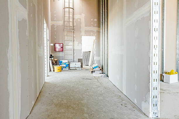 Best Forensic Mold Investigation  in Burnt Mills, MD