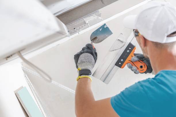 Best Mold Remediation for Healthcare Facilities  in Burnt Mills, MD